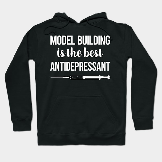 Antidepressant Model Building Hoodie by symptomovertake